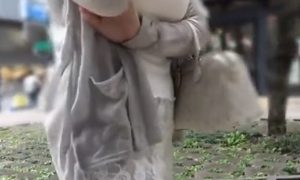 Thumbnail of post image 101